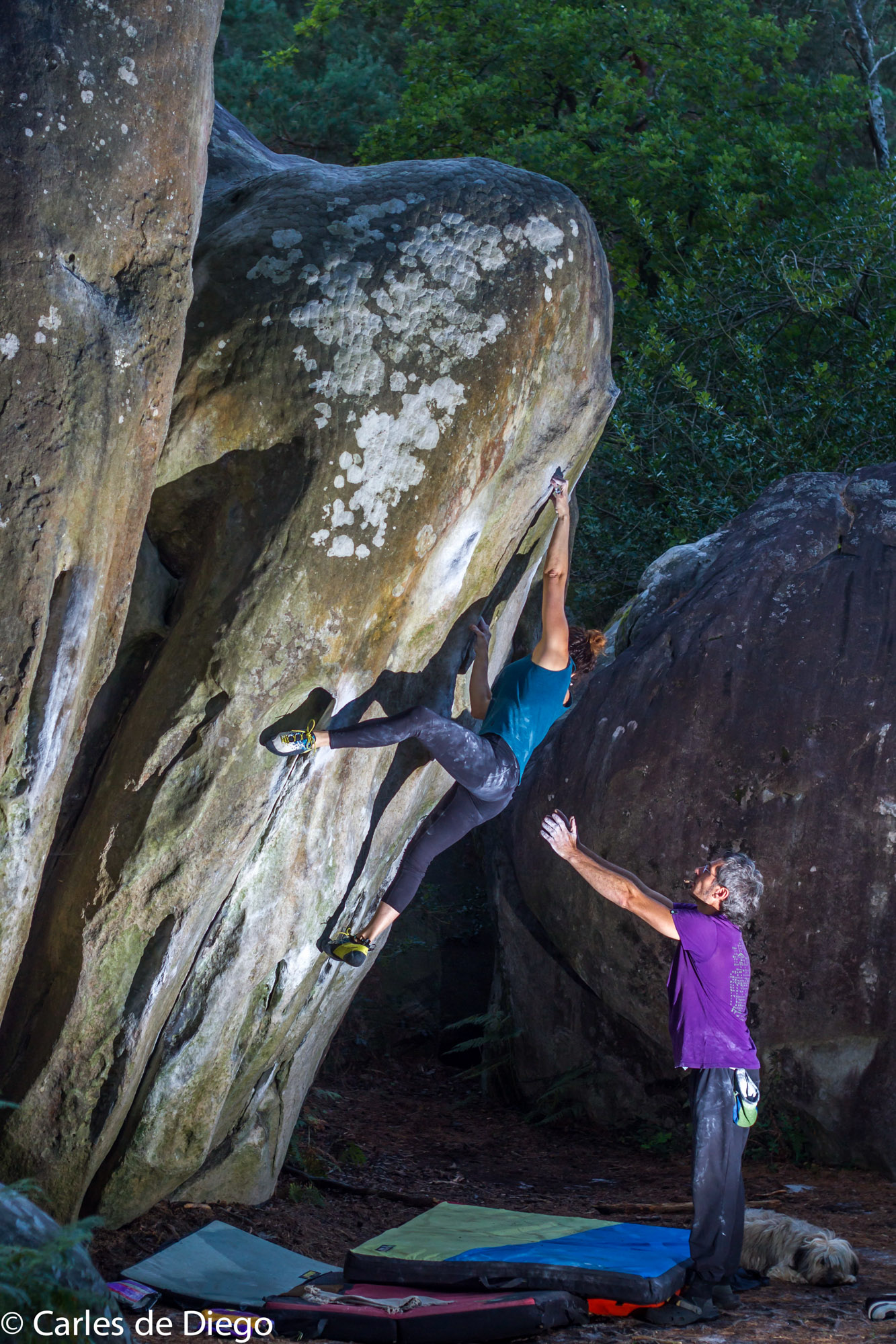 Elena Casiana no Duroxmanie em Cuvier, Fontainebleau